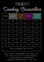 Cowboy Encounters Mesh Dress