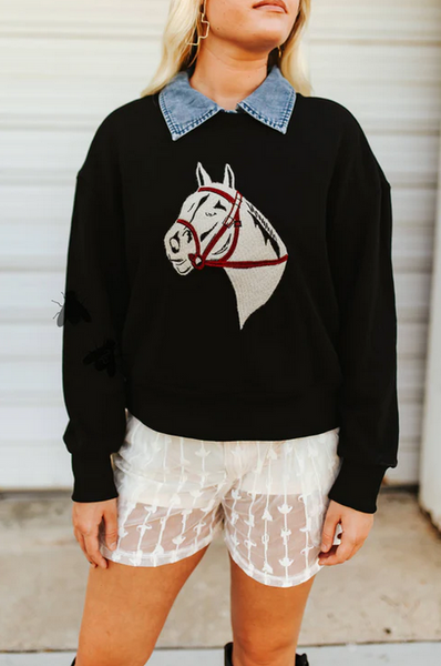 Fort Worth Nights Sweatshirt *midnight