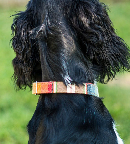 Mocha Serape Pet Collar